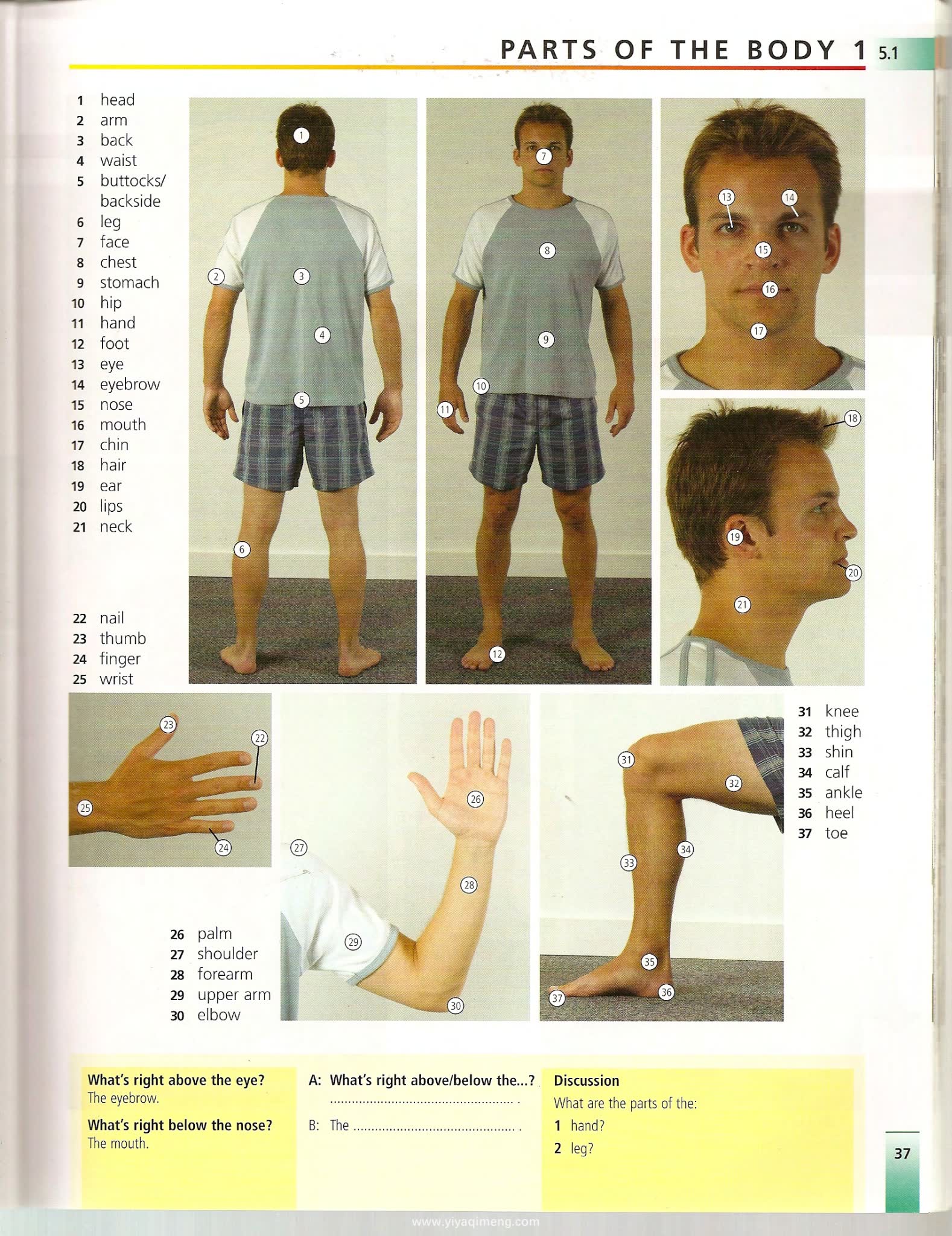 Longman Photo Dictionary of American English看得见的词汇学习教材