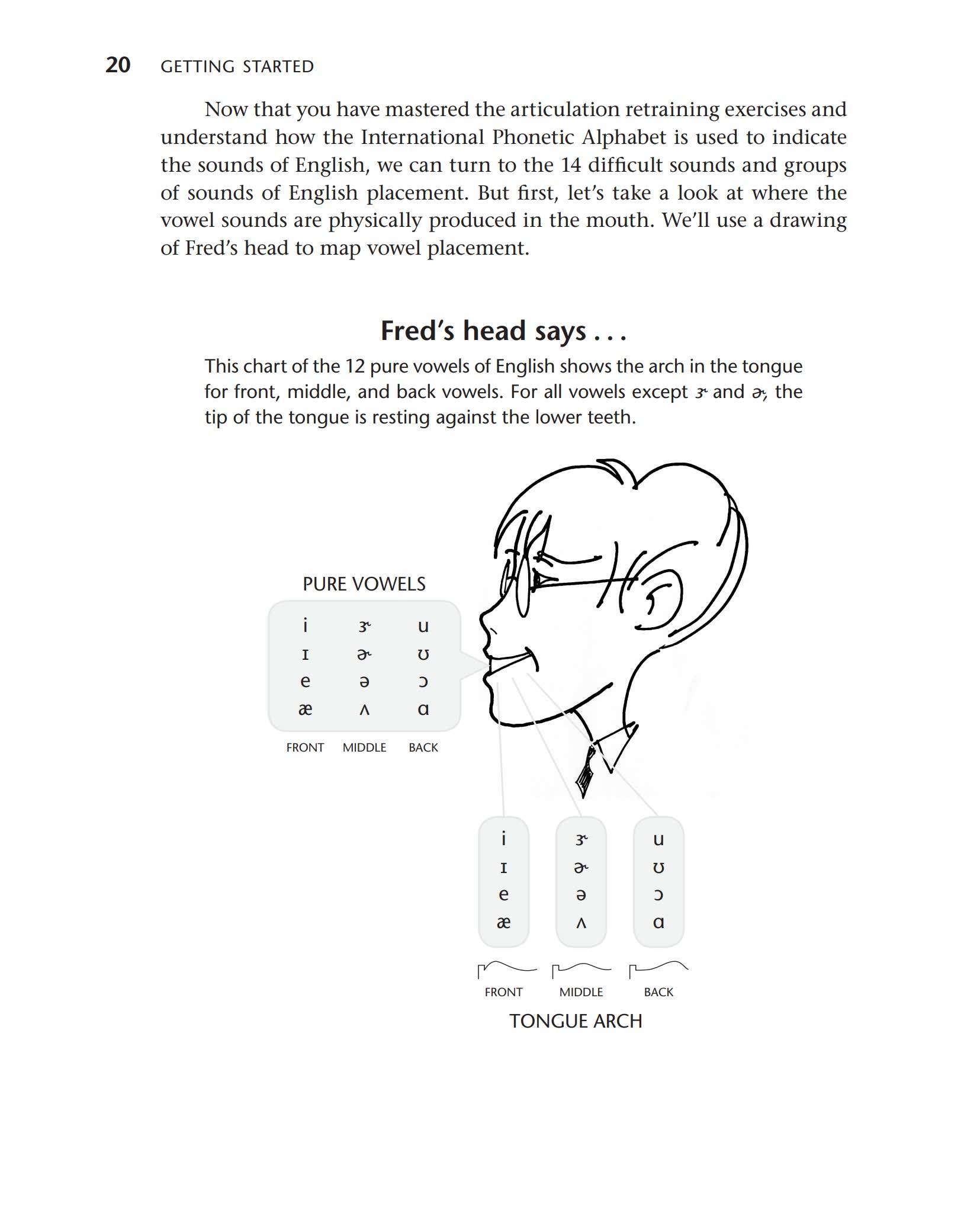 Perfecting Your English Pronunciation：从“模仿声音”走向“控制发音肌肉”的发音训练课