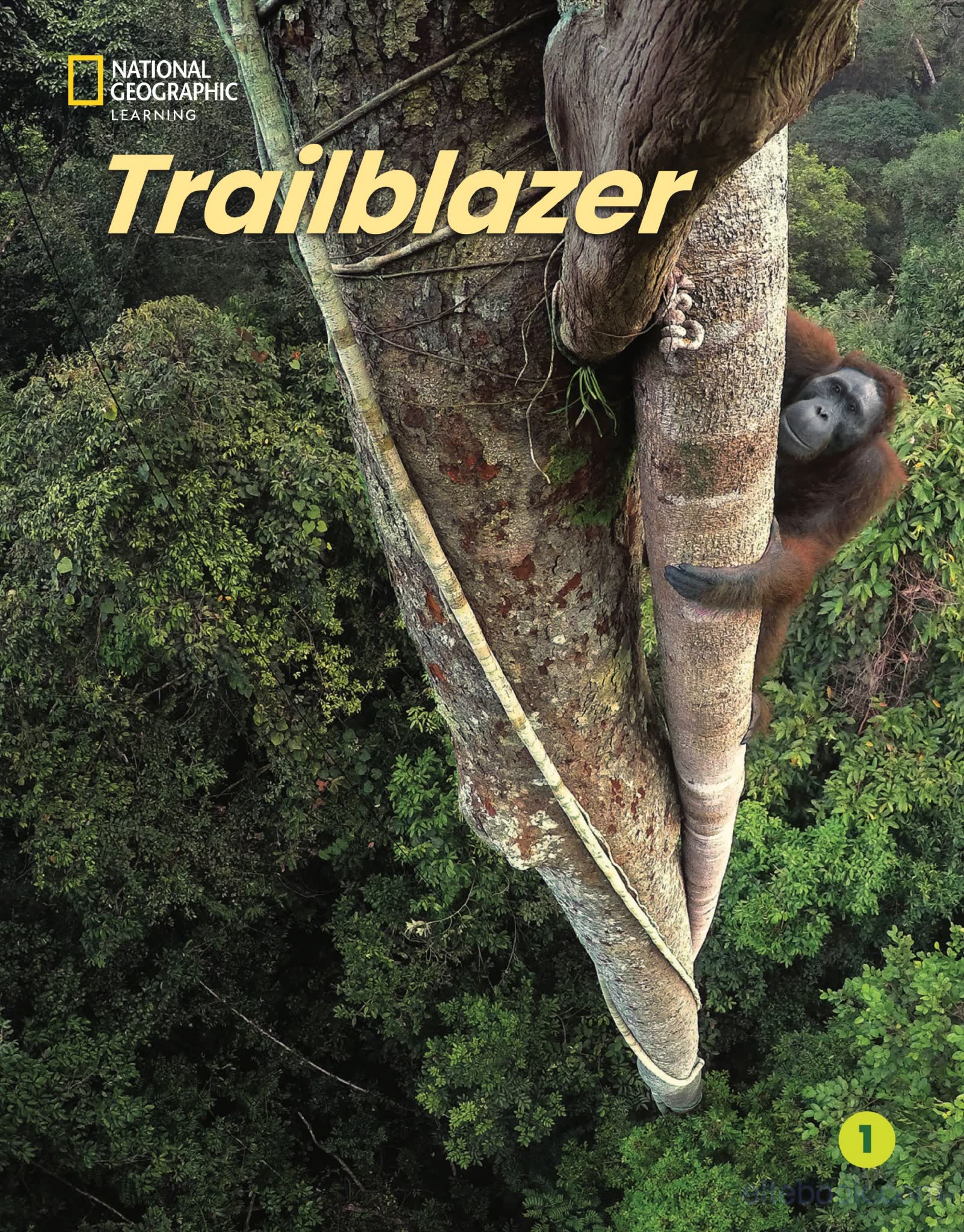 国家地理NGL《Trailblazer》 7级别少儿英语教材 电子版PDF 夸克百度云网盘下载