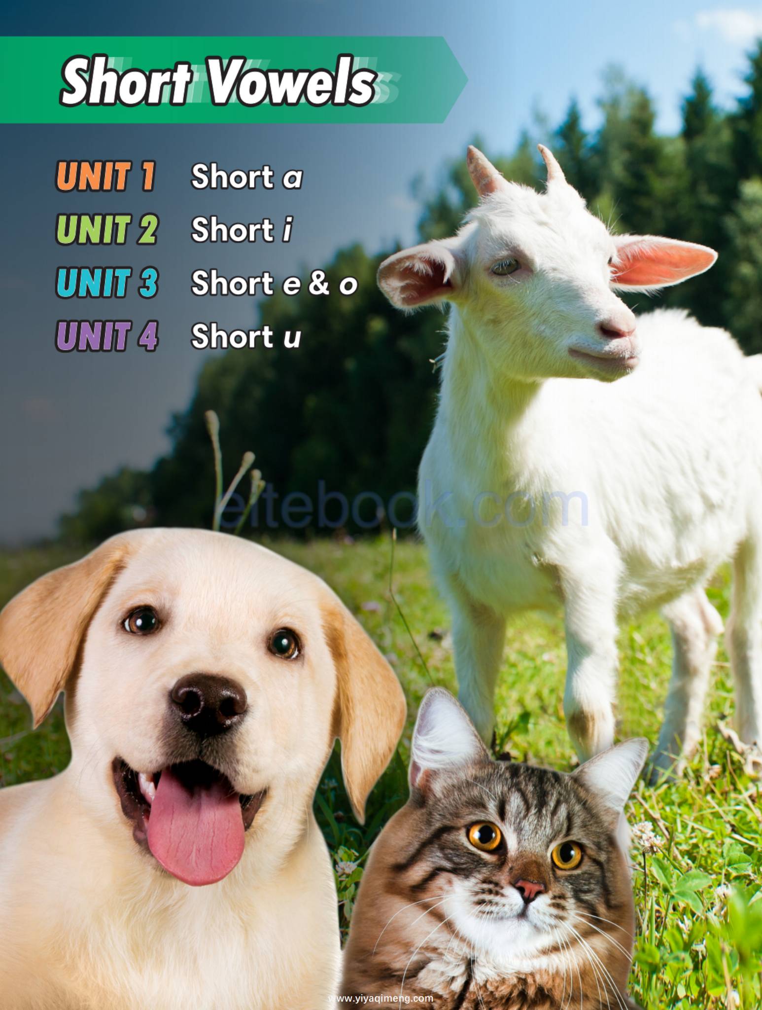 Compass Fast Phonics 幼儿自然拼读教材