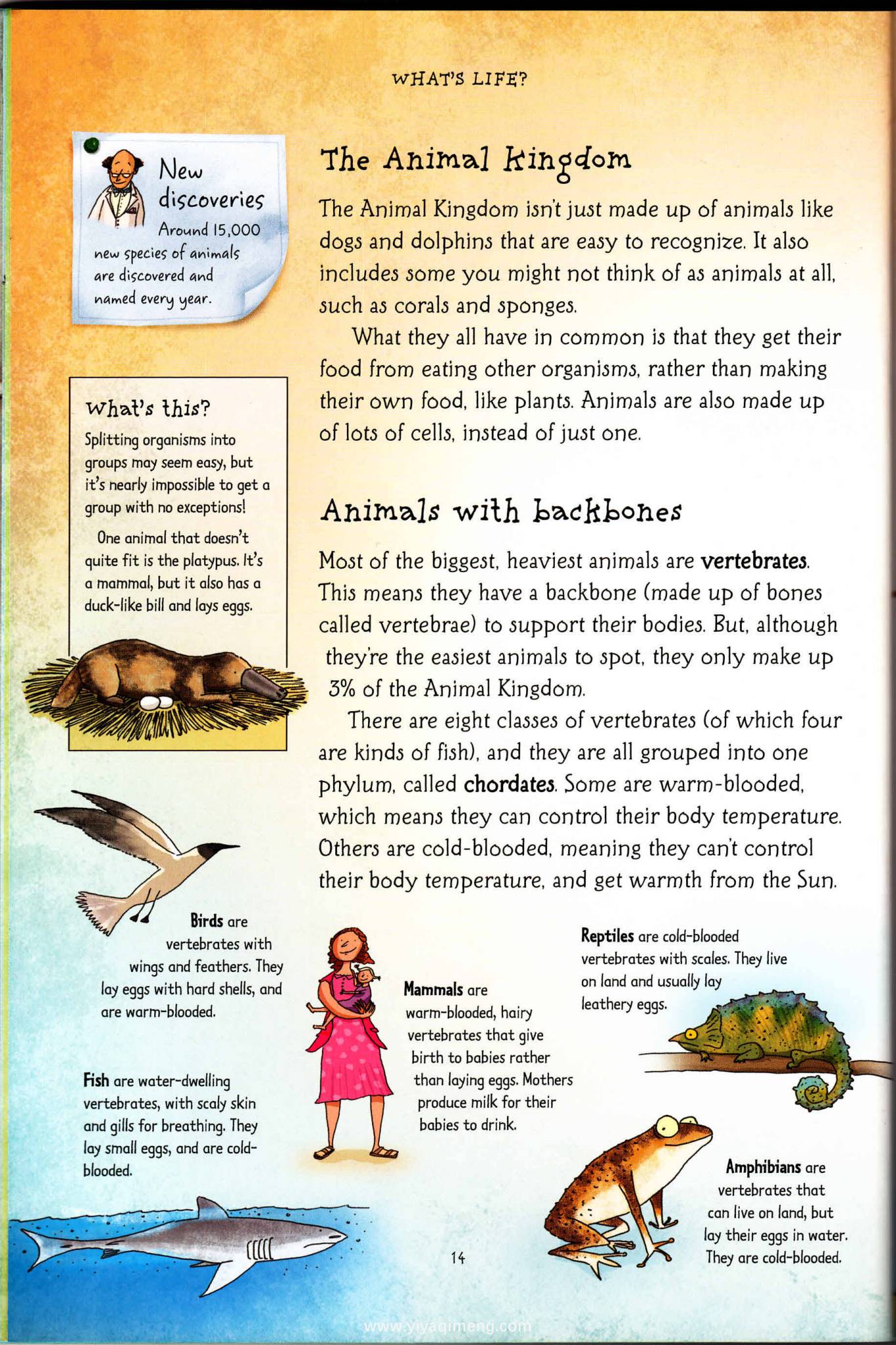 Usborne What's All About 系列电子版：4册青少年科普图解PDF下载 资源