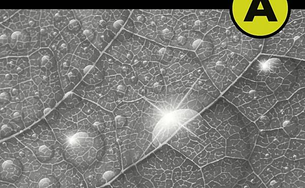 Oxford OCR A Biology A Level 学生课本 PDF OUP 合订本