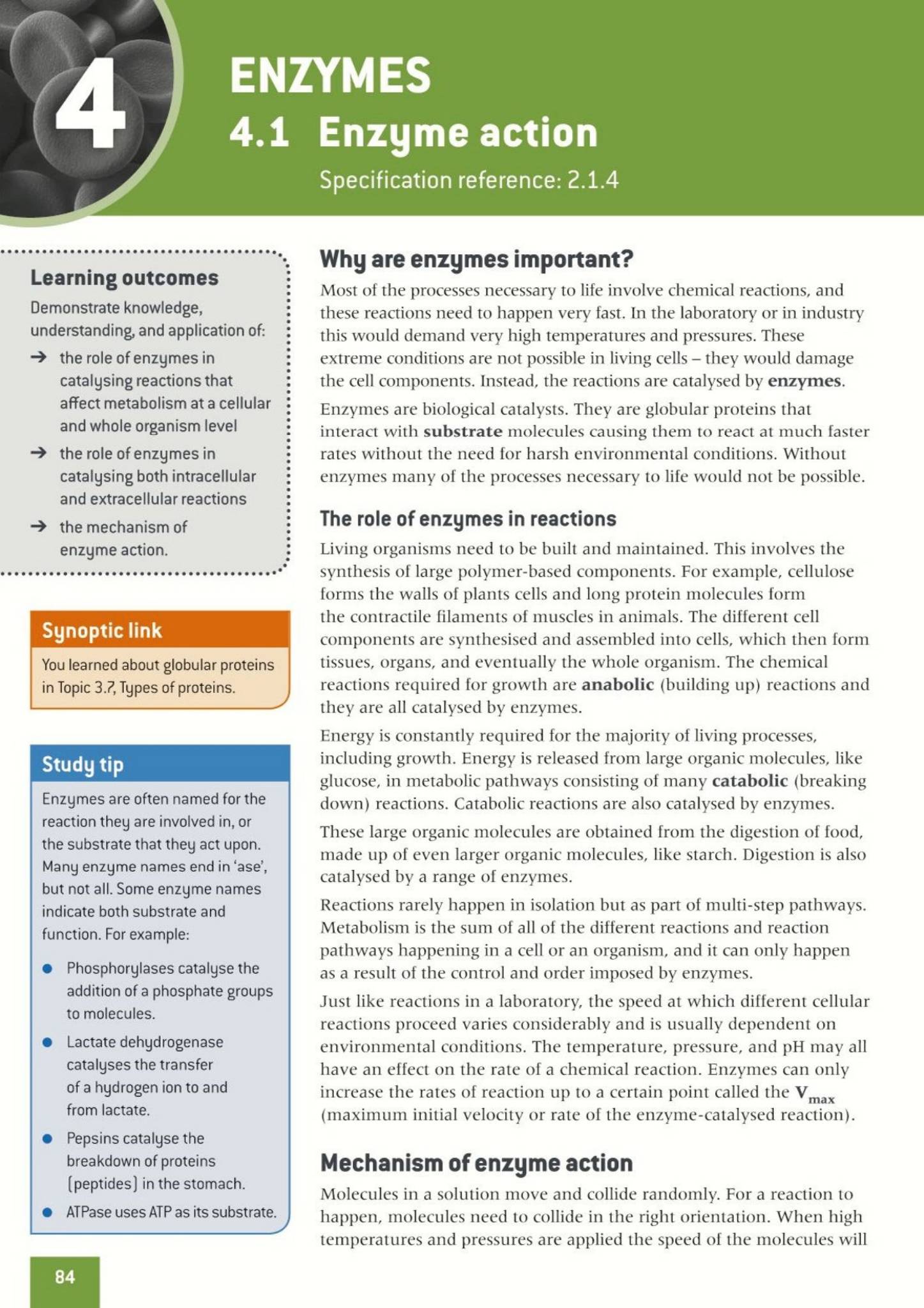 Oxford OCR A Biology A Level 学生课本 PDF OUP 合订本1