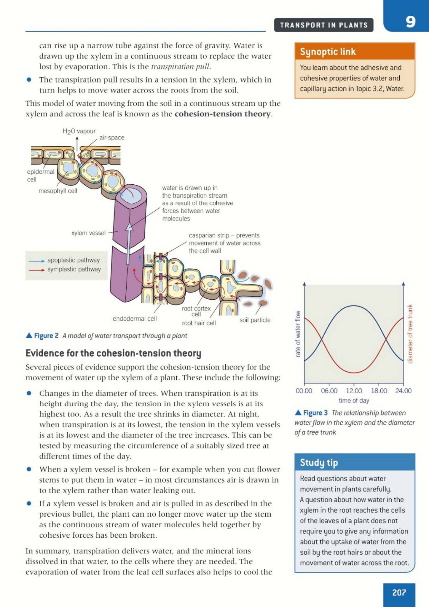 Oxford OCR A Biology A Level 学生课本 PDF OUP 合订本