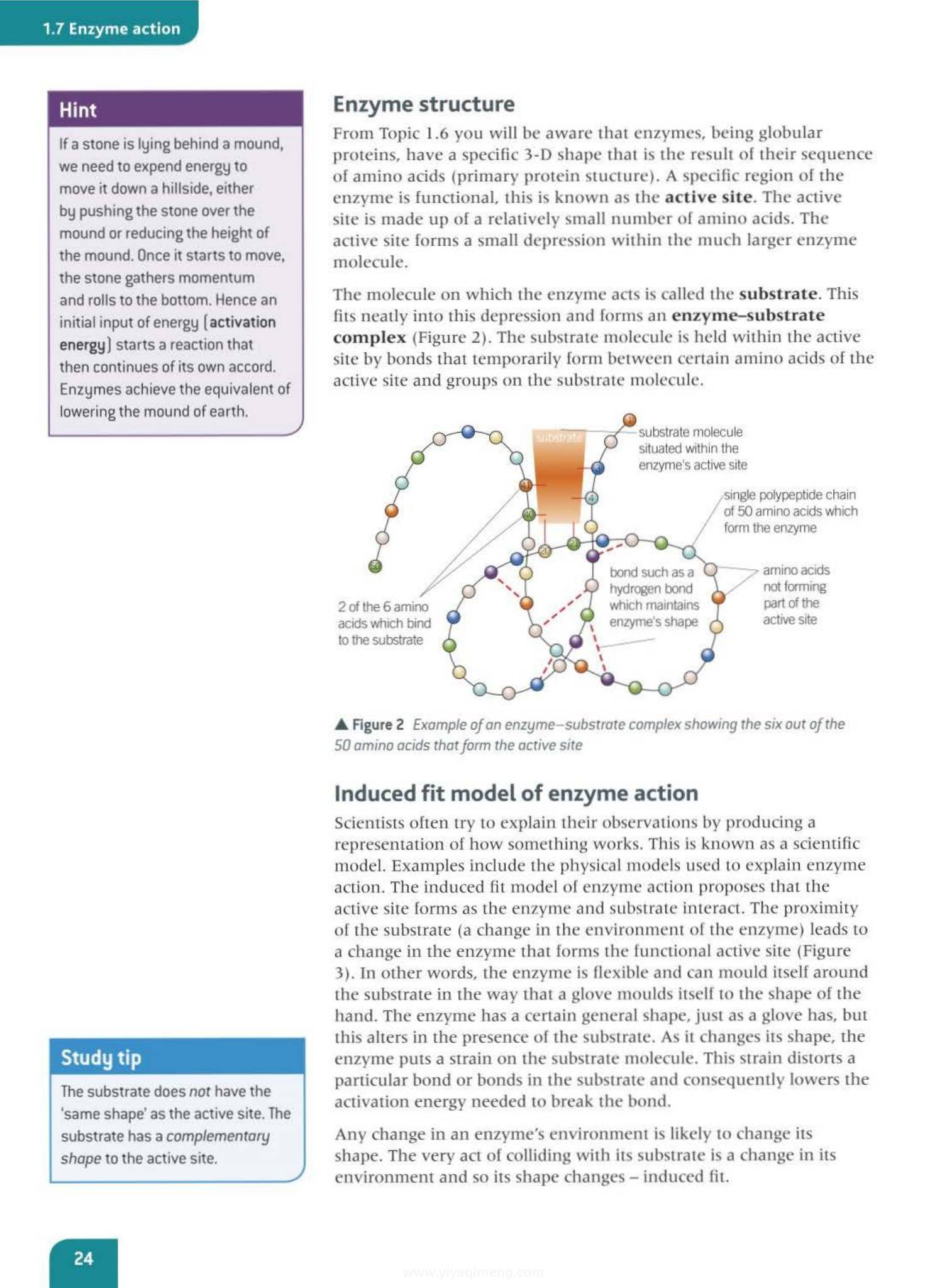 Oxford AQA Biology A Level 牛津生物学生课本
