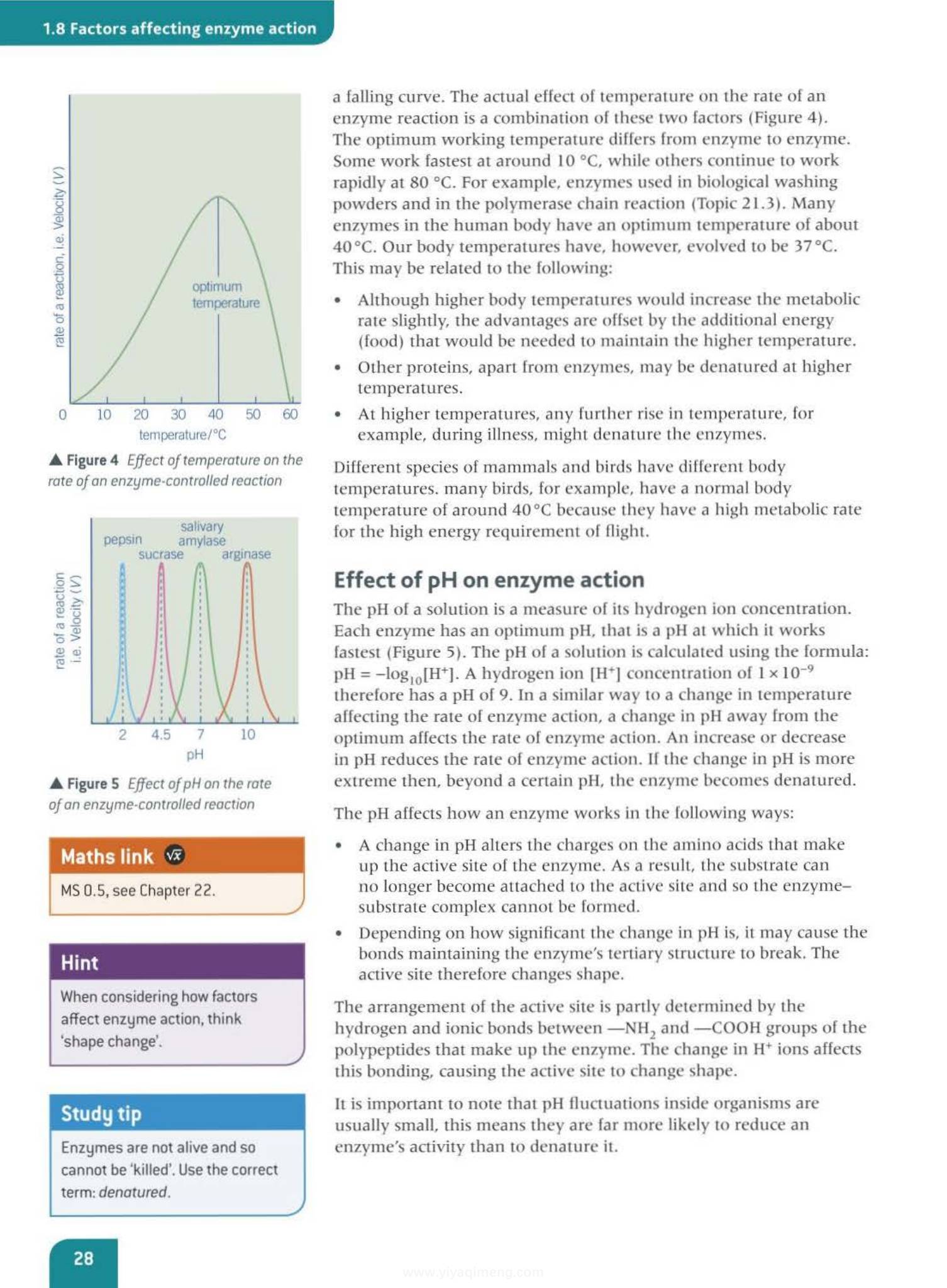 Oxford AQA Biology A Level 牛津生物学生课本