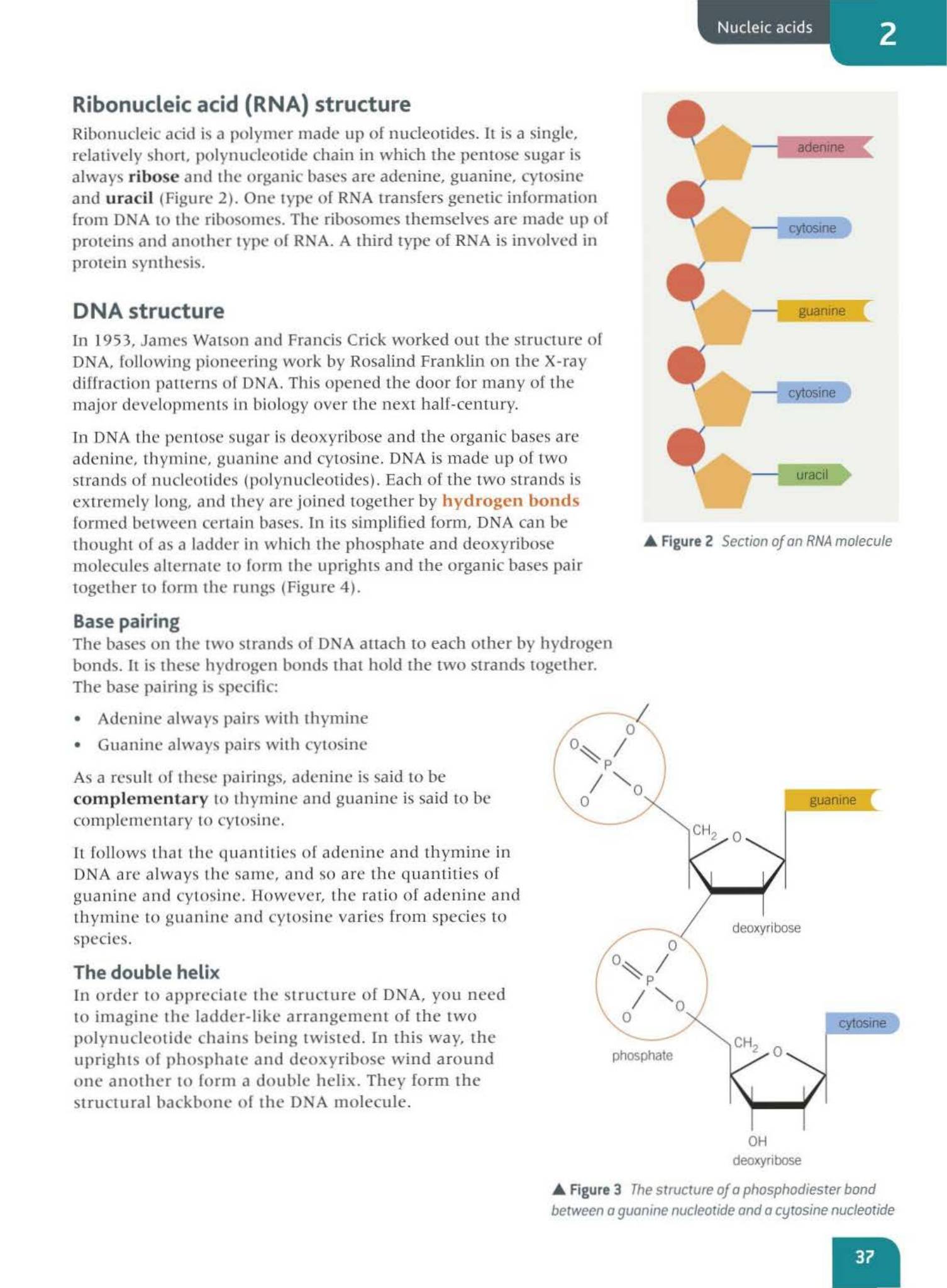 Oxford AQA Biology A Level 牛津生物学生课本