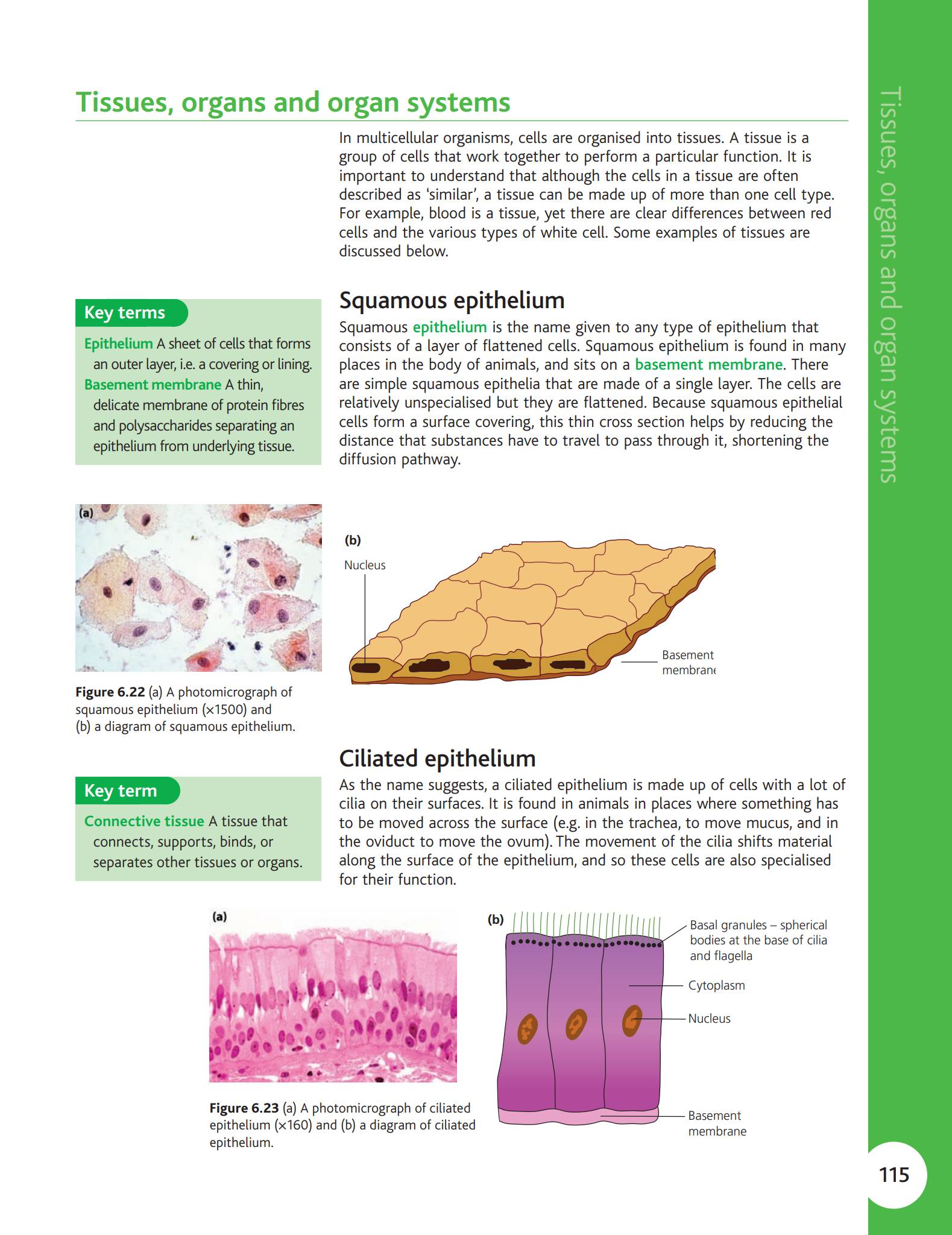 Hodder OCR A Biology A Level 学生课本（Year 1 + Year 2 分册）PDF下载
