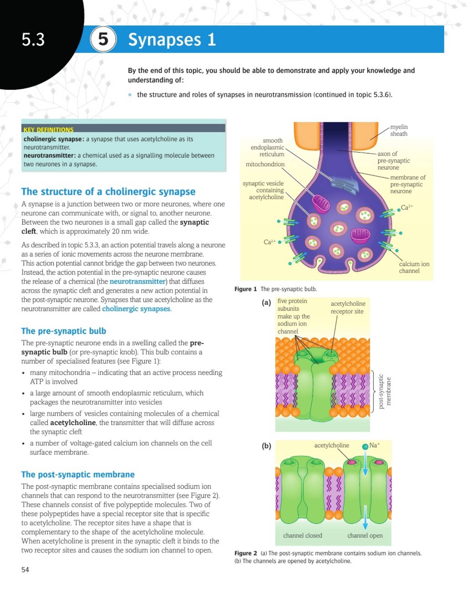 Pearson OCR A Biology A Level 学生课本(Year 1 + Year 2)PDF下载3