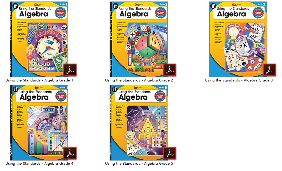 Using the Standards – Algebra 代数专项练习册 电子版PDF 下载