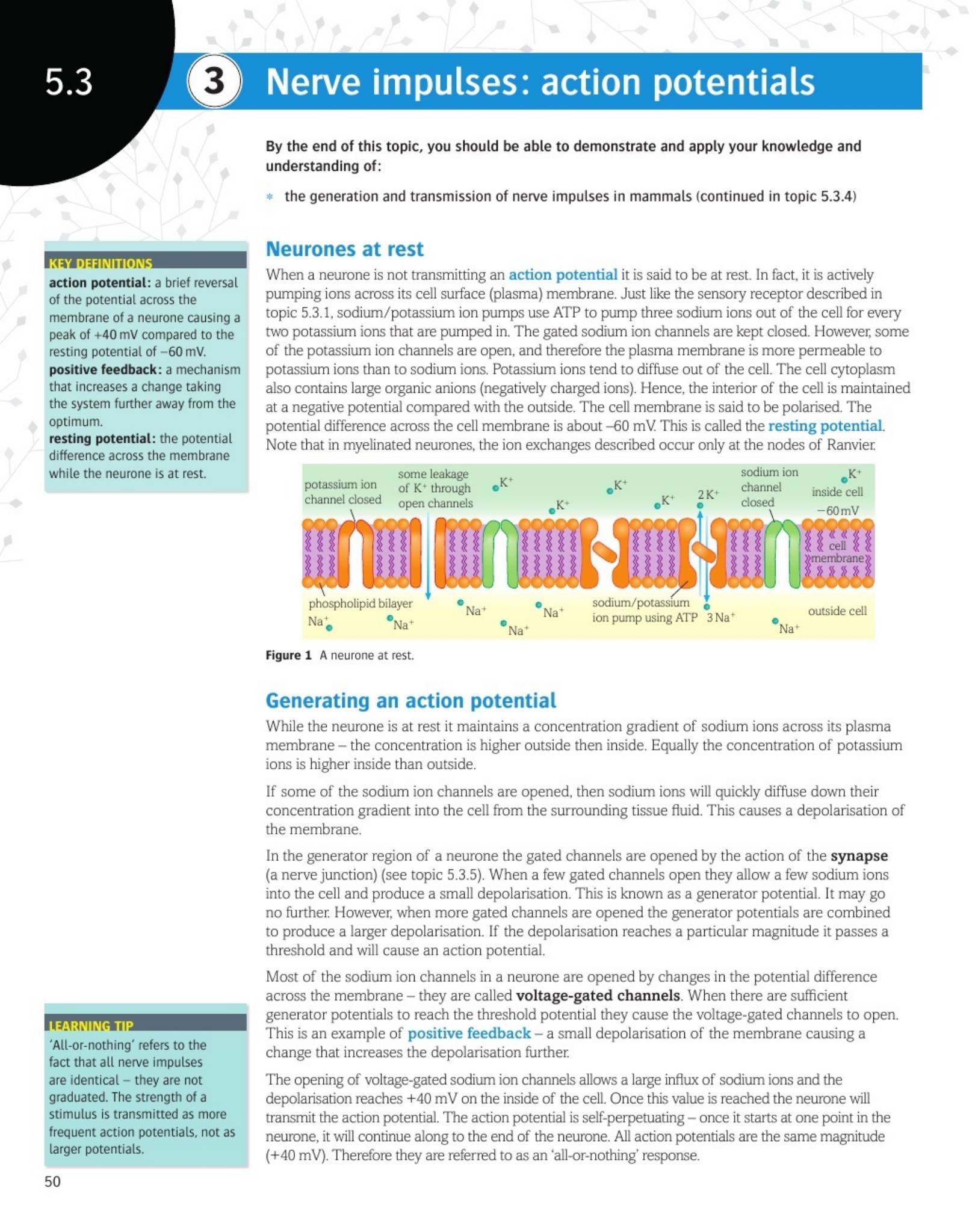 Pearson OCR A Biology A Level 学生课本(Year 1 + Year 2)PDF下载