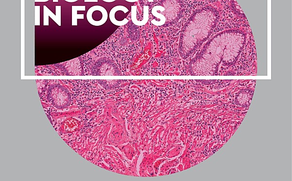 澳洲高中生物教材PDF：Biology in Focus Year 11/12 两册电子版下载