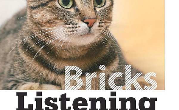 Bricks Listening 250 听力教材三级全套(PDF+音频+听写程序)