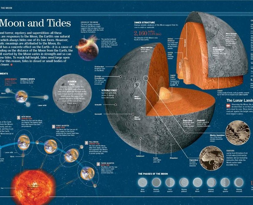 英国小学科学百科读物(不列颠图解科学丛书)Britannica Illustrated Science Library