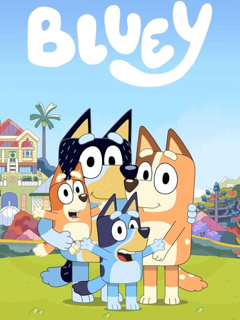布鲁伊 Bluey动画片英文版 第一季 第二季 第三季