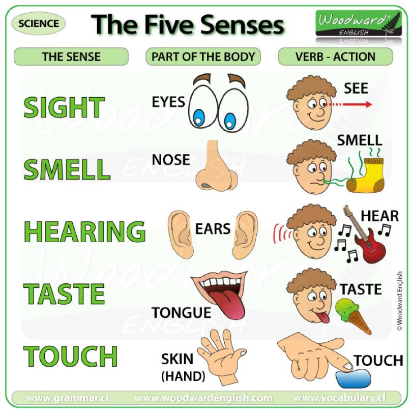 《120张彩色英文语法海报》英语启蒙要点归纳总结PDF