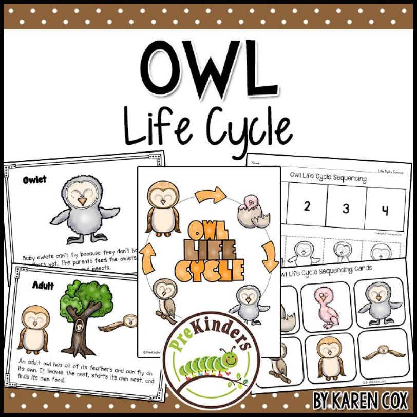 《Fall Life Cycle Science》自然生命科学6册英文作业纸