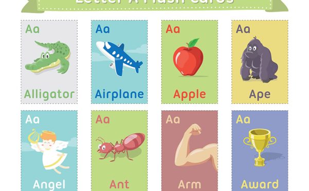 《精美英语彩色单词卡》43个类别轻松掌握1600+词汇