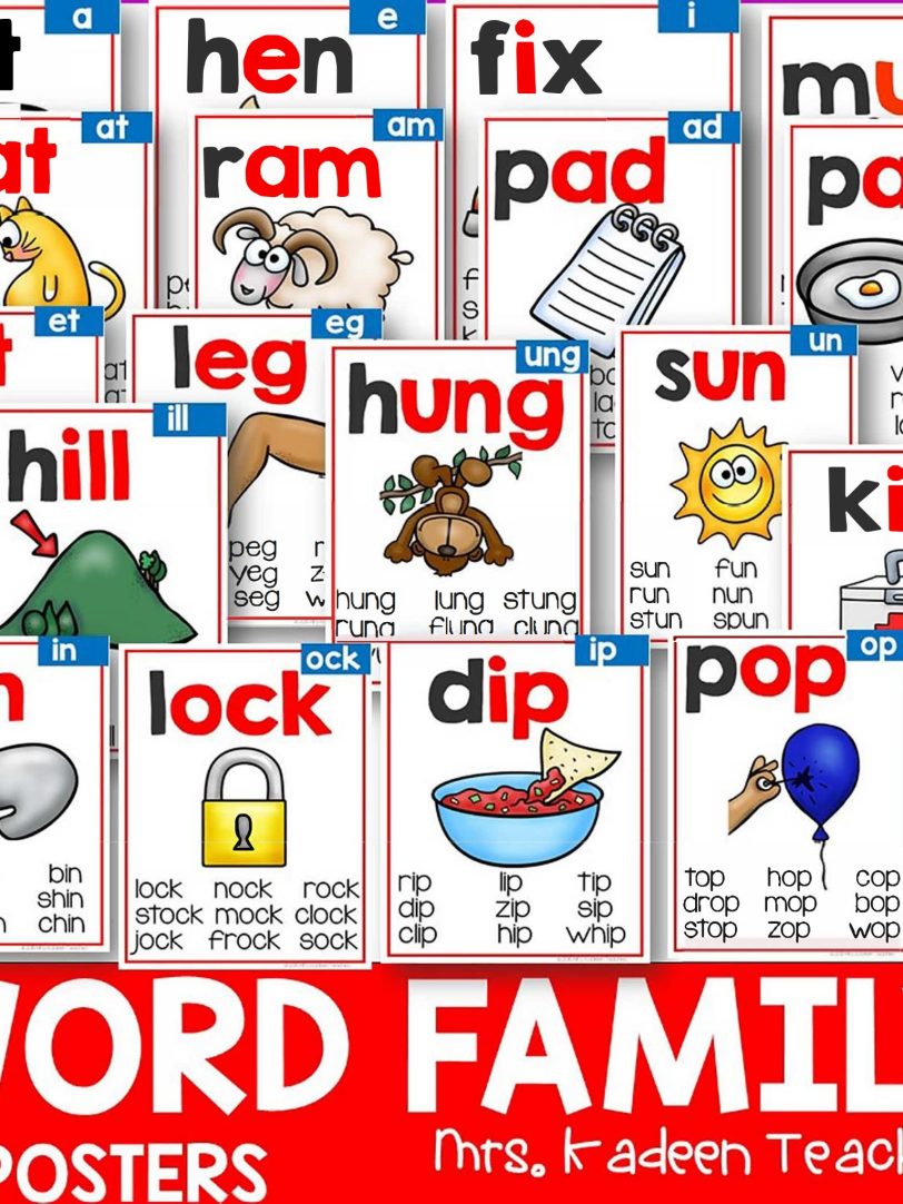 《Phonice Posters – Bundle》131页英文闪卡自然拼读海报PDF