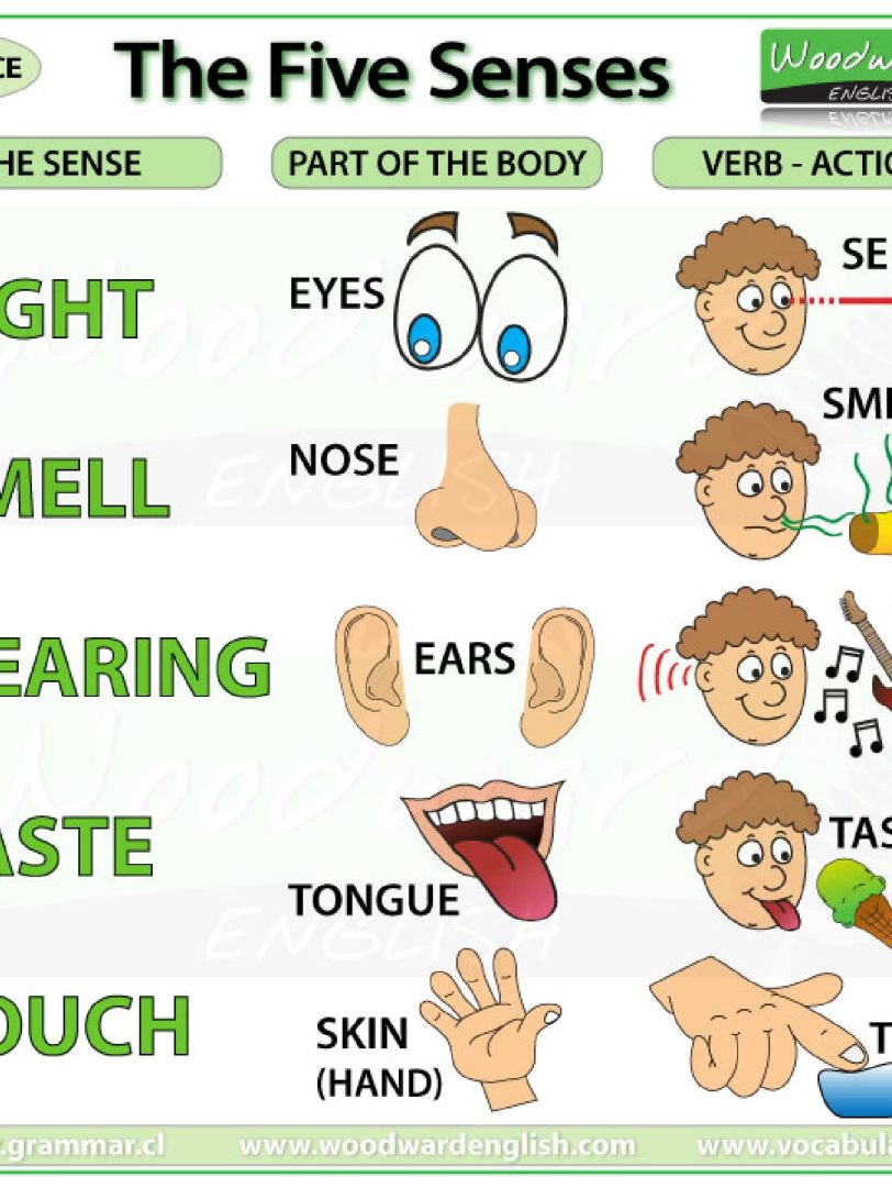 《120张彩色英文语法海报》英语启蒙要点归纳总结PDF