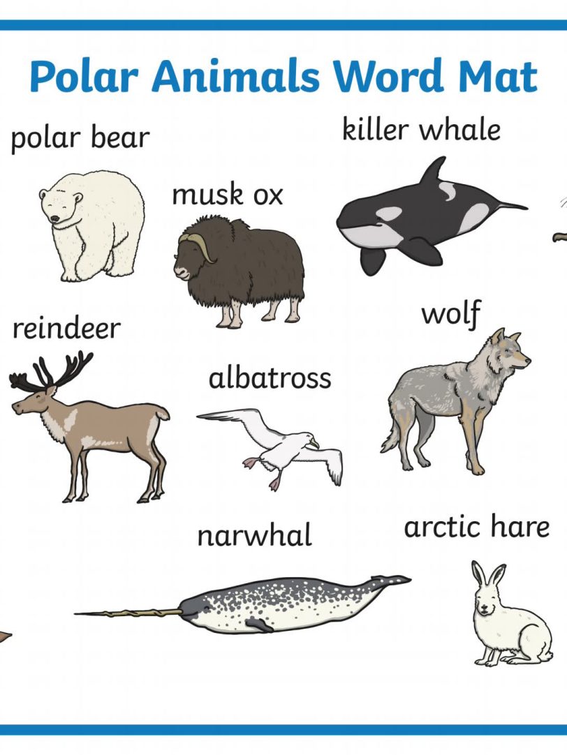 《16个分类原版英文单词挂图海报》英语单词启蒙PDF