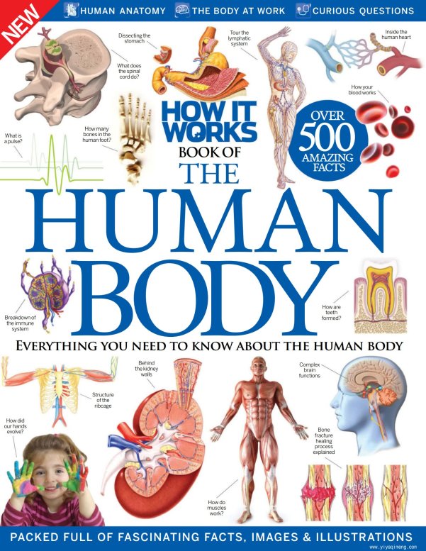 《How It Works Book Of Series》1-8册科普主题系列英文绘本