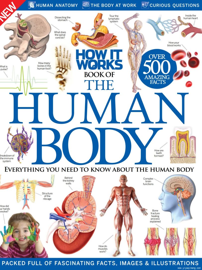 《How It Works Book Of Series》1-8册科普主题系列英文绘本