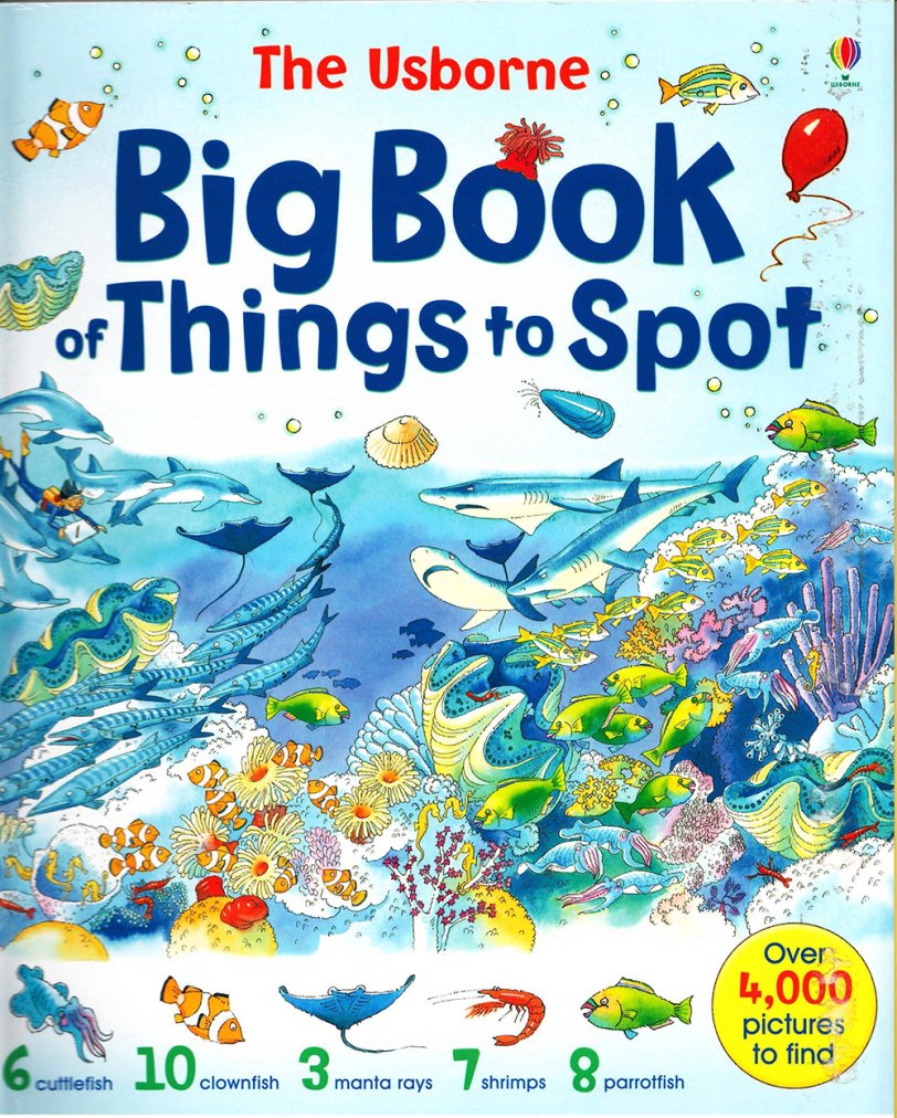 The Usborne Big Book of Things to Spot 趣味大发现绘本认知启蒙