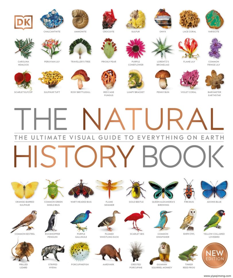 DK自然史科普知识英文绘本The Natural History Book