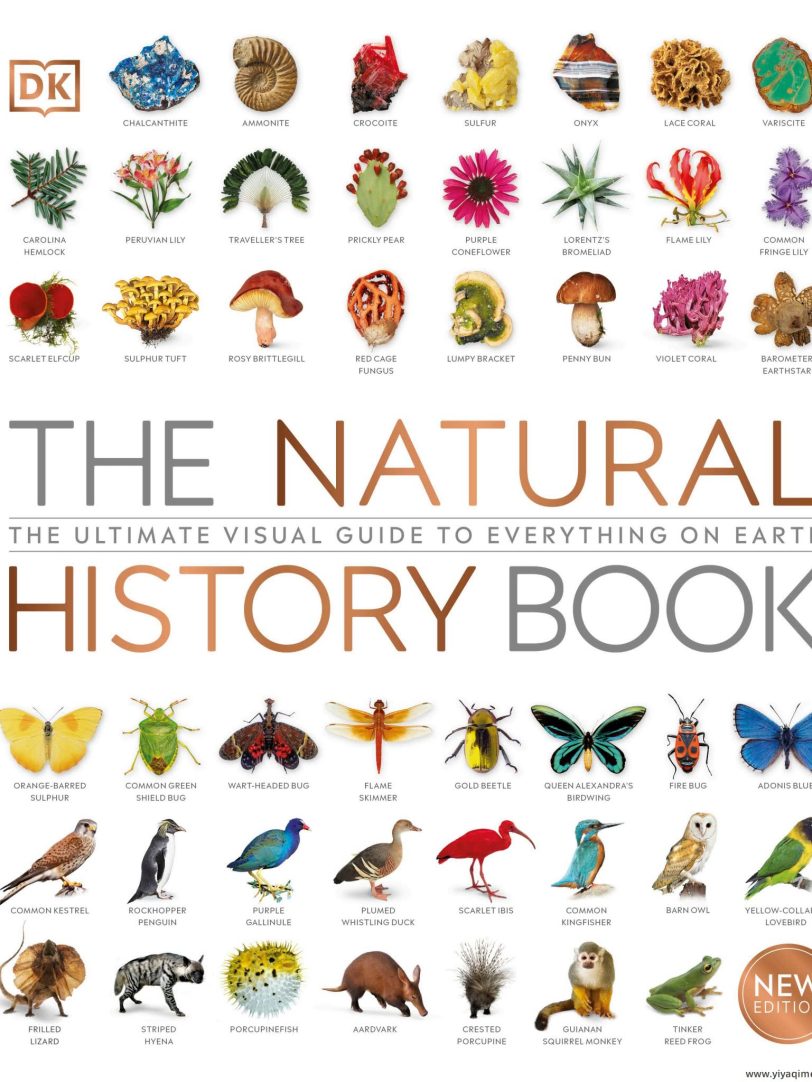 DK自然史科普知识英文绘本The Natural History Book
