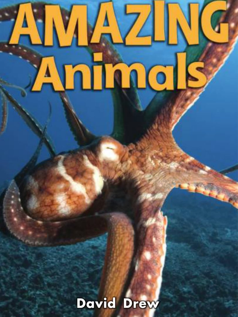 启蒙阅读教材Literacy by Design系列(幼儿园、小学1-2年级教材)