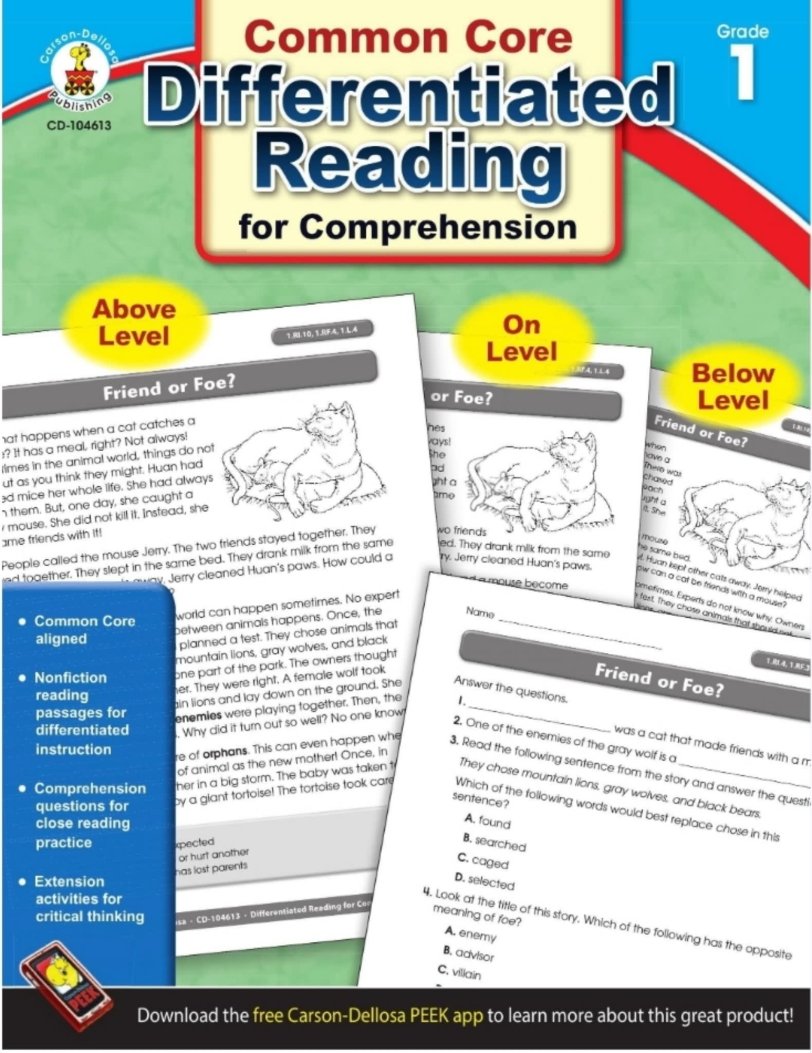 差异化阅读练习册 Differentiated Reading for Comprehension