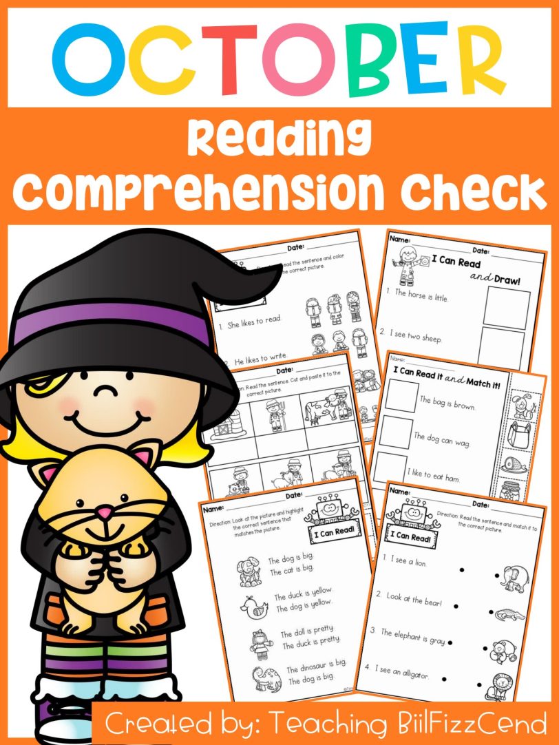 阅读理解入门级练习册Reading Comprehension Check