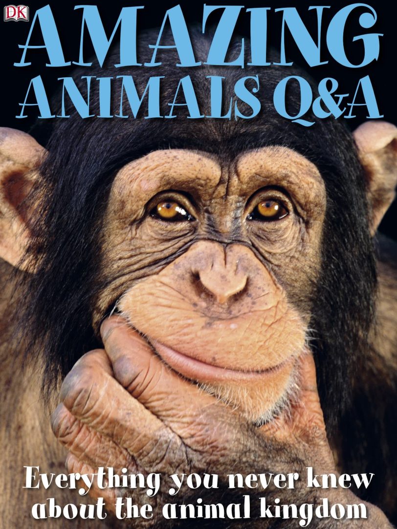 DK儿童科普英文读物DK Look closer系列