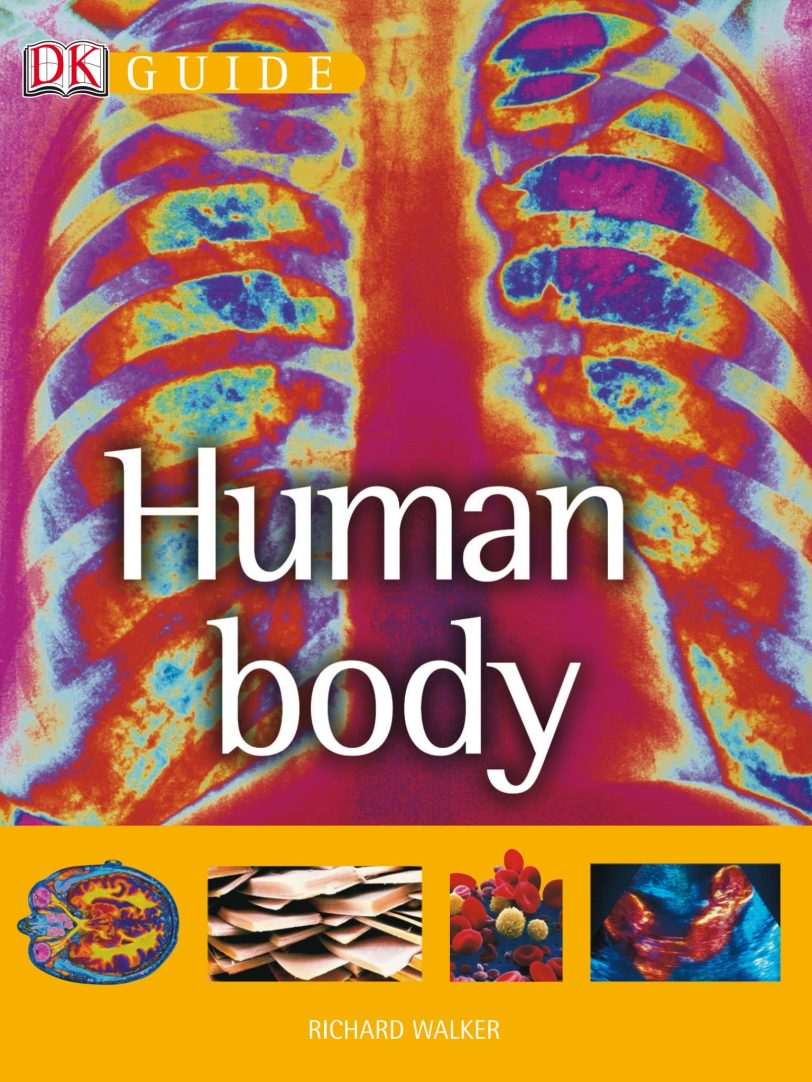 DK百科全书DK Guide to系列PDF