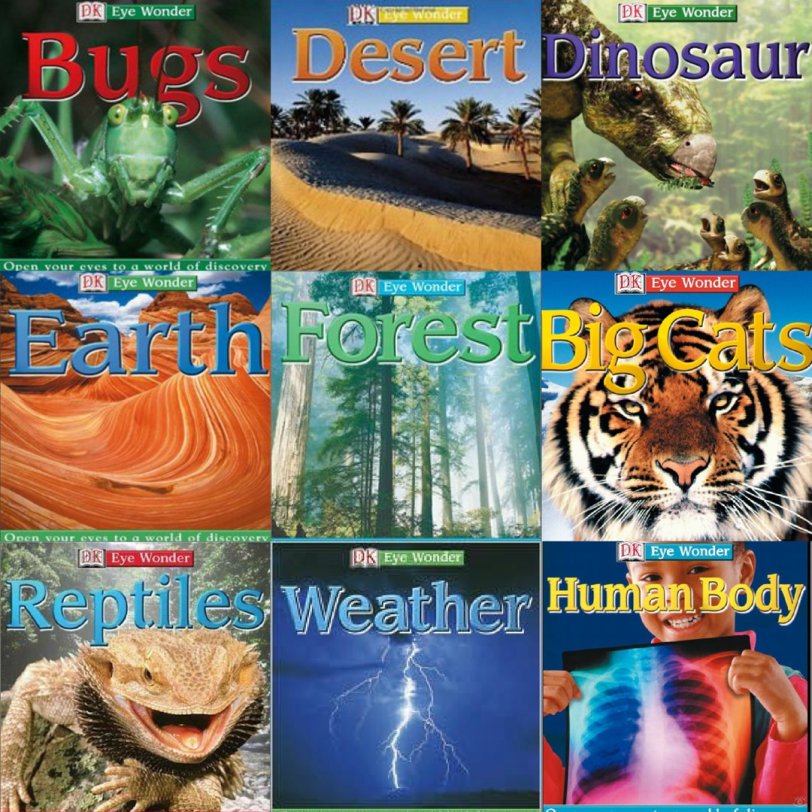 DK百科视觉大发现Eyewonder系列 特别适合小学生！