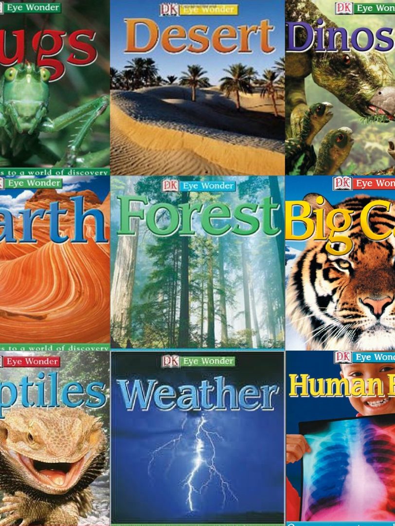 DK百科视觉大发现Eyewonder系列 特别适合小学生！