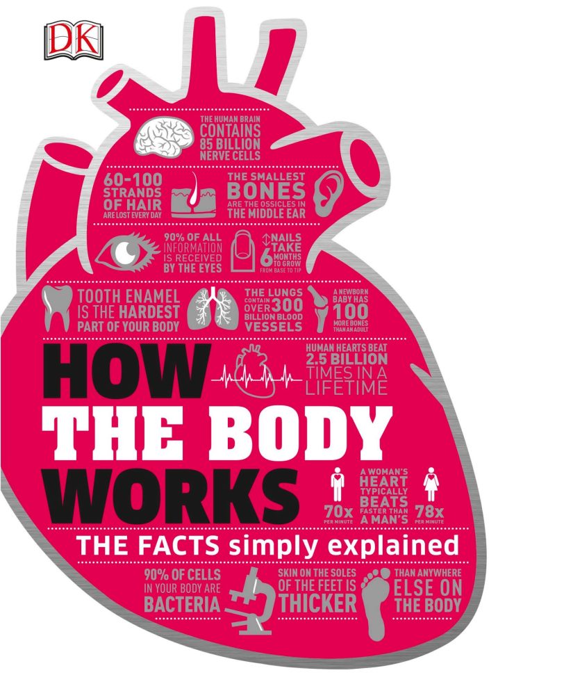 人体运转原理DK How the Body Works