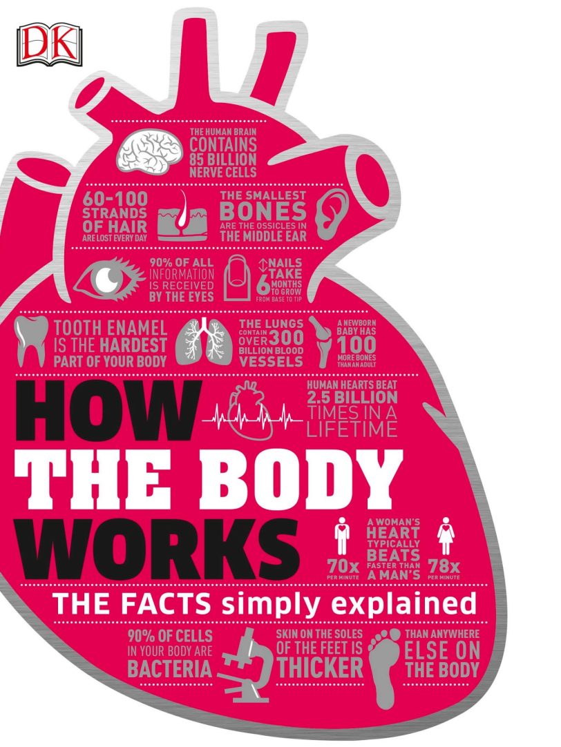 人体运转原理DK How the Body Works