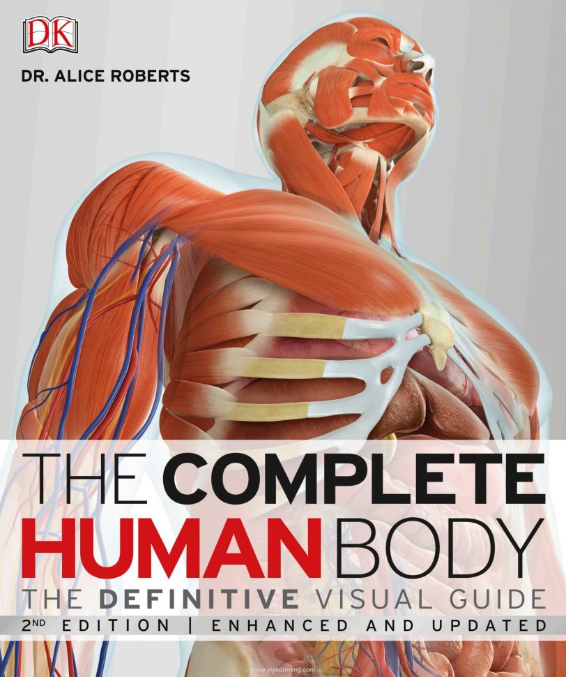 人体探索百科DK The Complete Human Body: The Definitive Visual Guide
