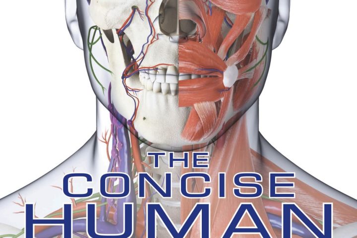 人体结构与功能图解指南DK The Human Body Book 电子版PDF 百度云网盘下载 | 咿呀启蒙