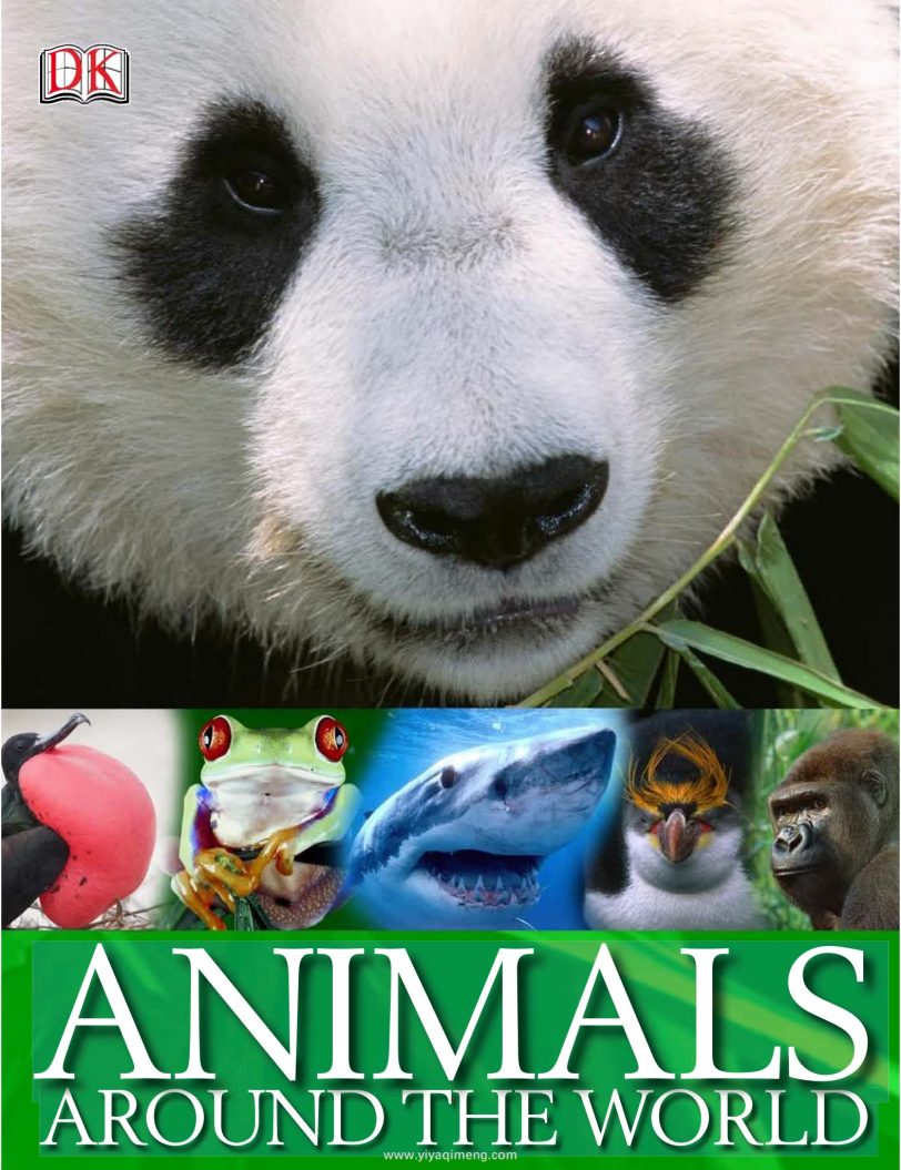 DK Animals Around the World奇妙的动物世界之旅