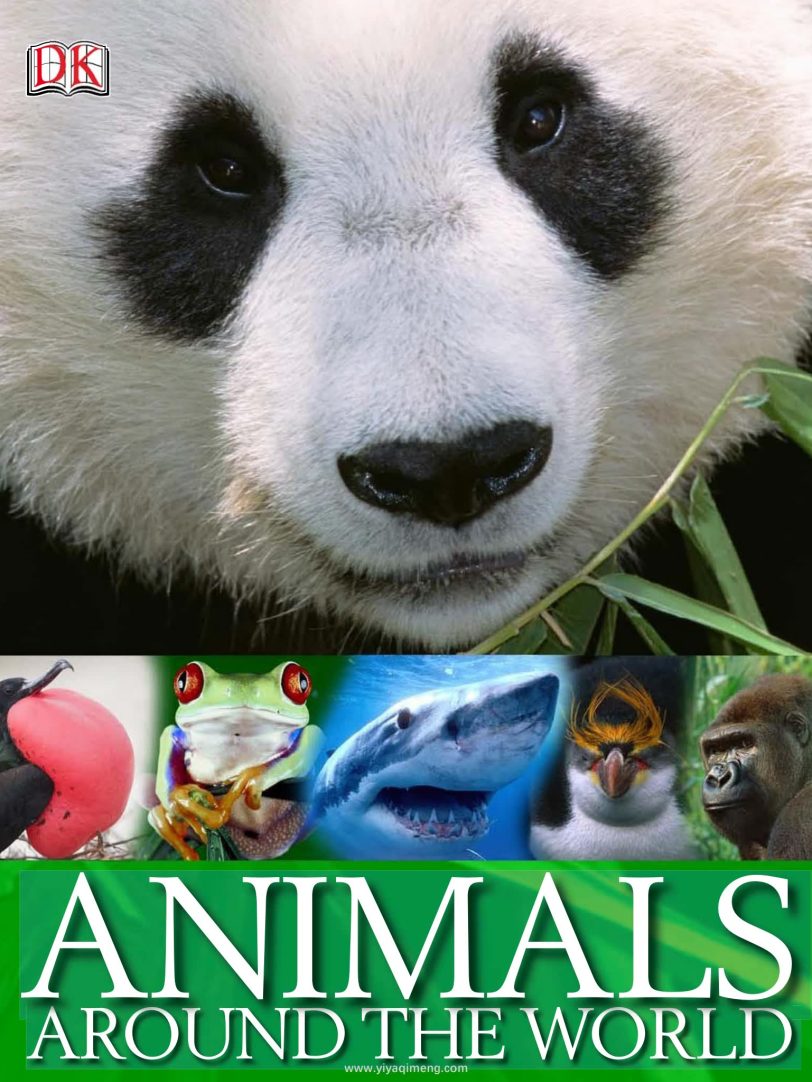 DK Animals Around the World奇妙的动物世界之旅