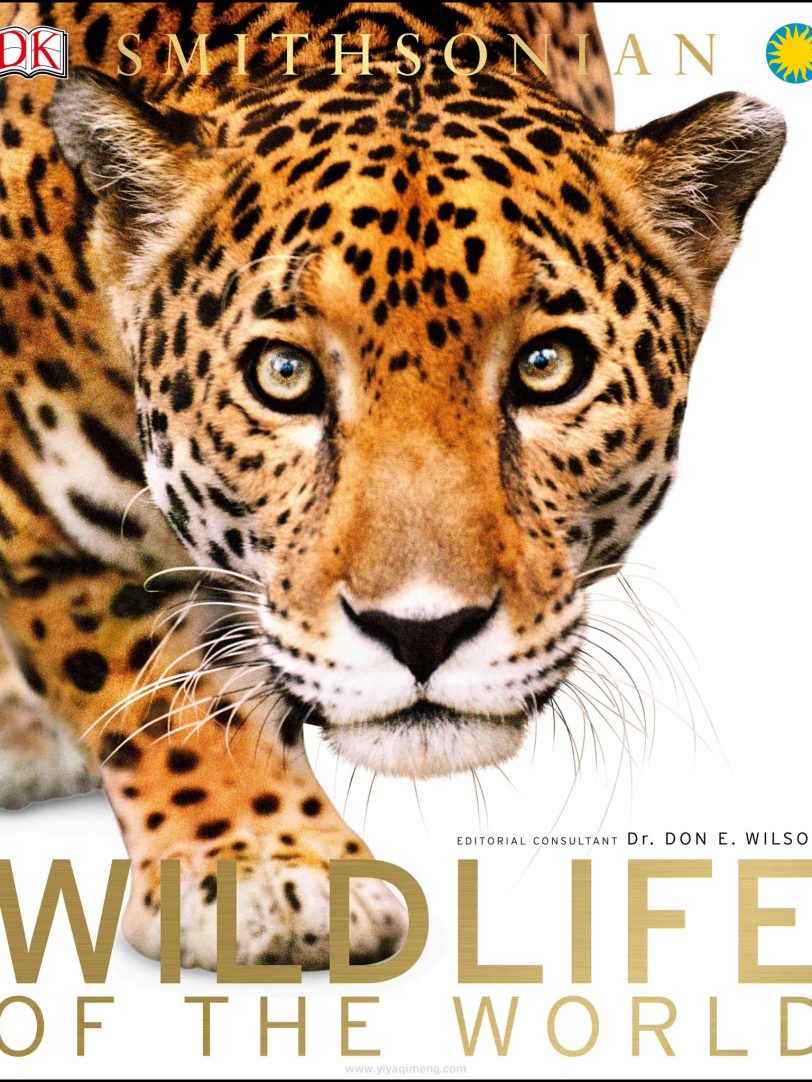 Dk《Wildlife of the World》地图式的“动物星球”