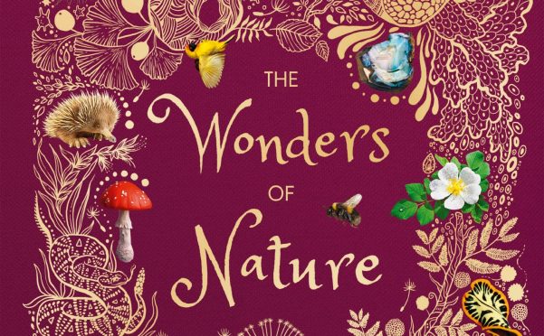 令人惊叹的自然之书《DK The Wonders of Nature》