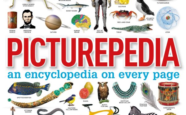 DK 出品《Picturepedia》全图解百科