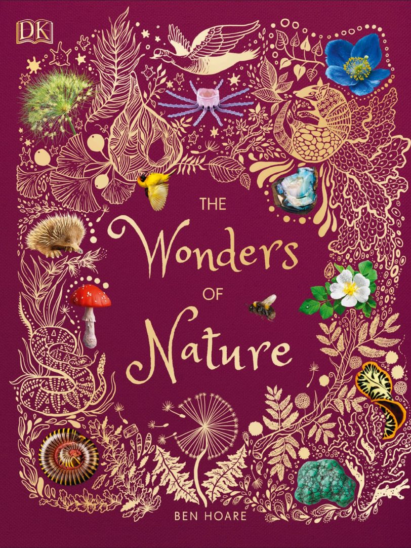 令人惊叹的自然之书《DK The Wonders of Nature》