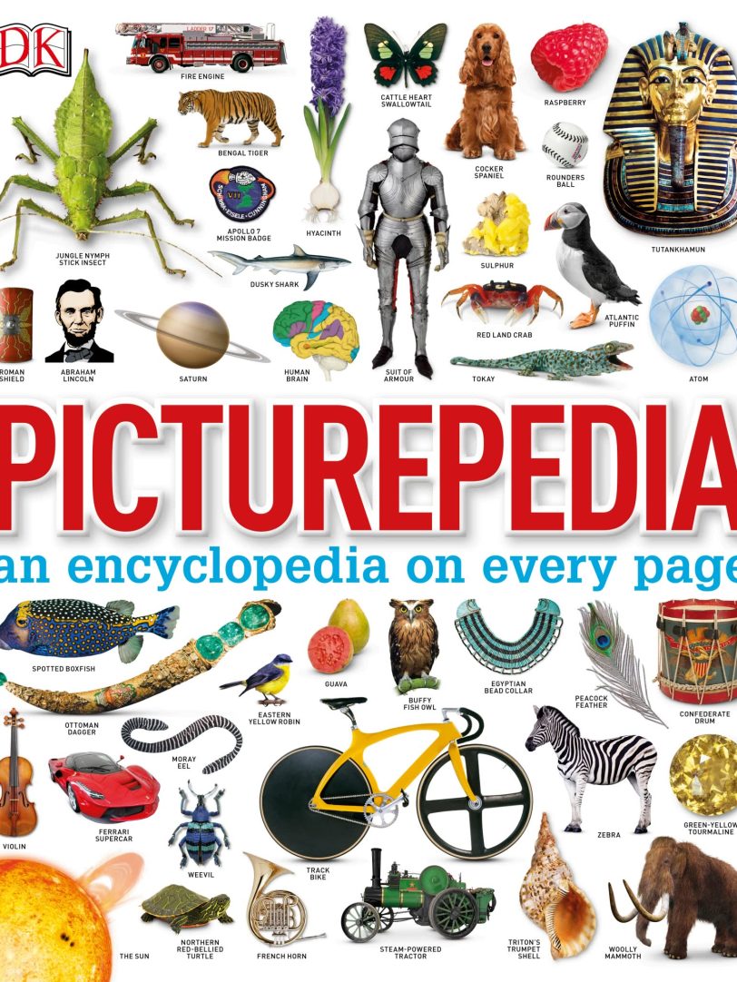 DK 出品《Picturepedia》全图解百科